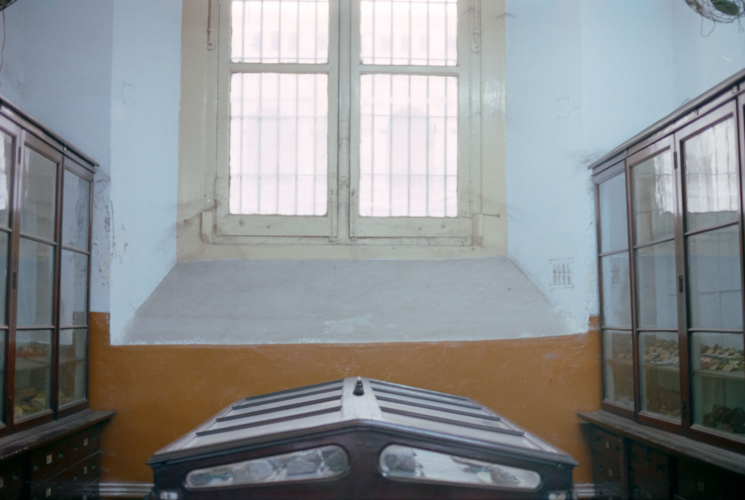 AHP film 2005 01 002 sc240825 img16 NLP